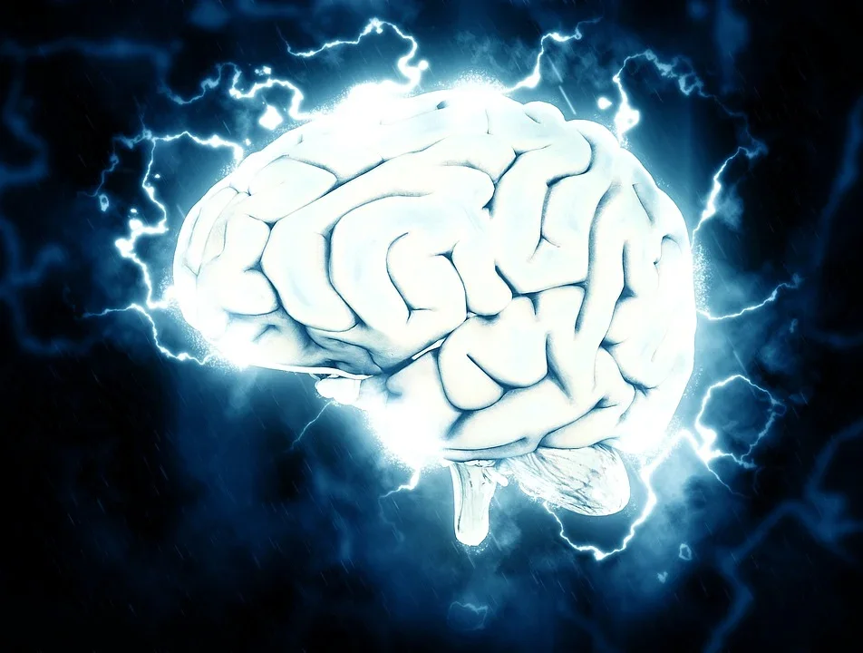 Picture of a brain