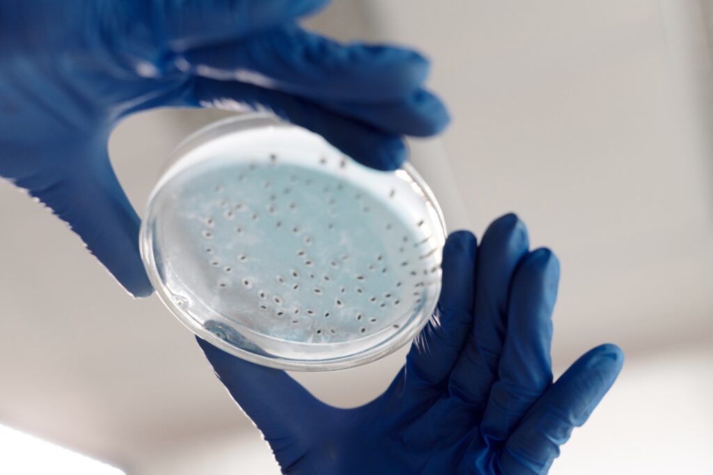EMFs and bacteria