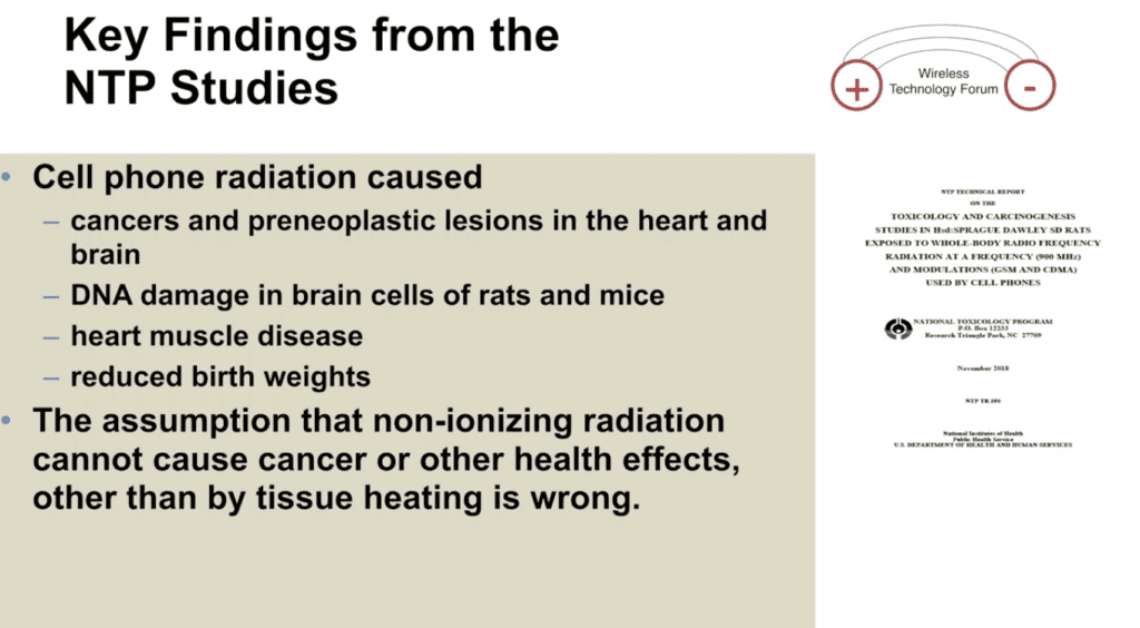 NTP study showing heart disease